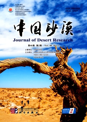 中国沙漠封面